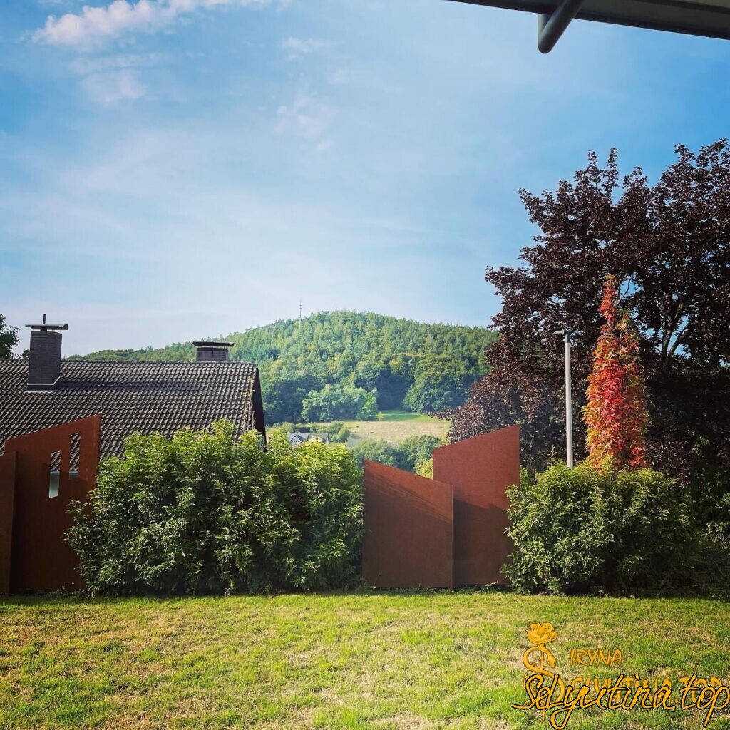 Интрига затянулась