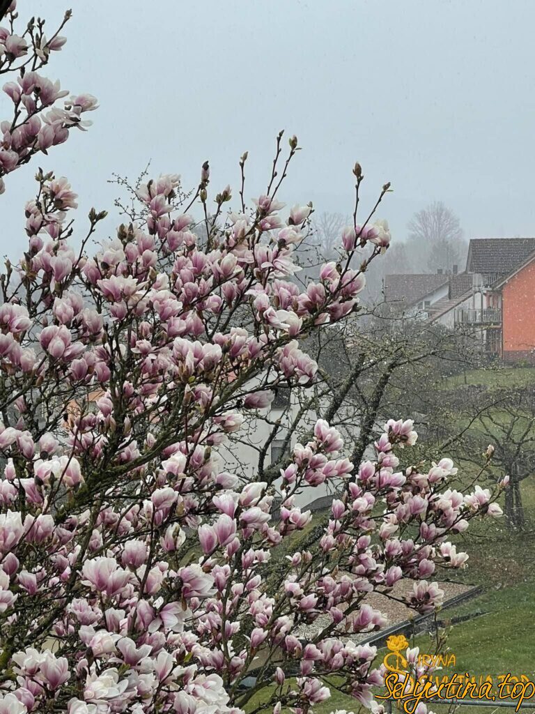 Полет нормальный