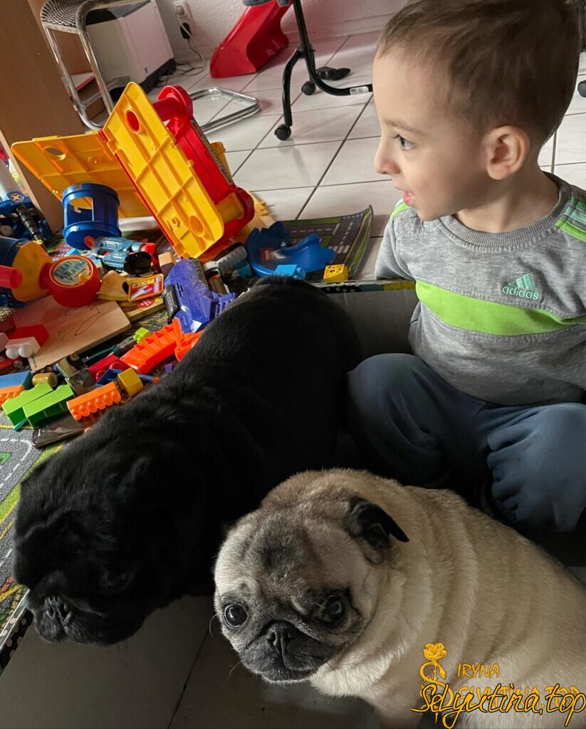 Когда деревья были большими…