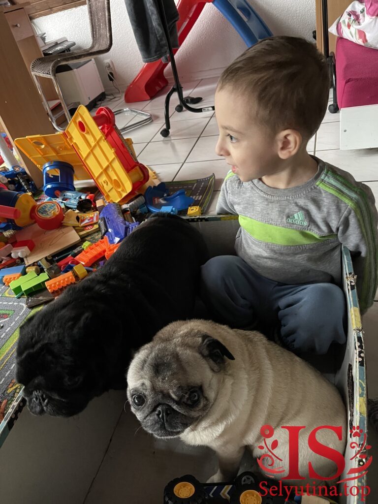 Што це? Вікошечко!